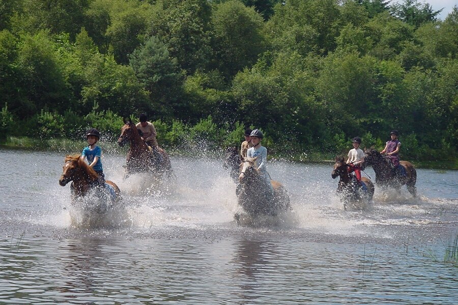 Camping De Bronzen Emmer