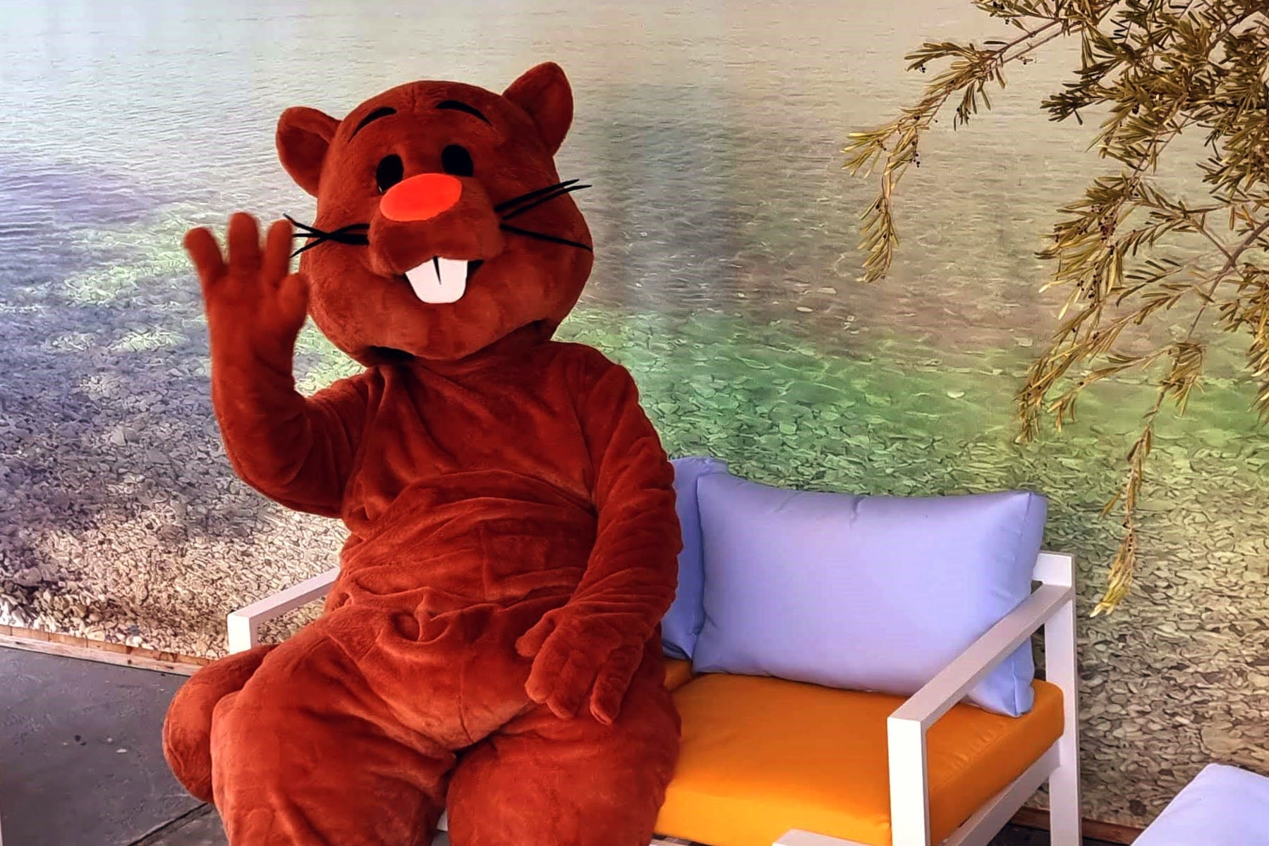 Sonnencamp am Gösselsdorfersee