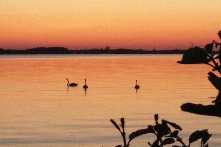 Wald- u. Seeblick Camp GmbH
