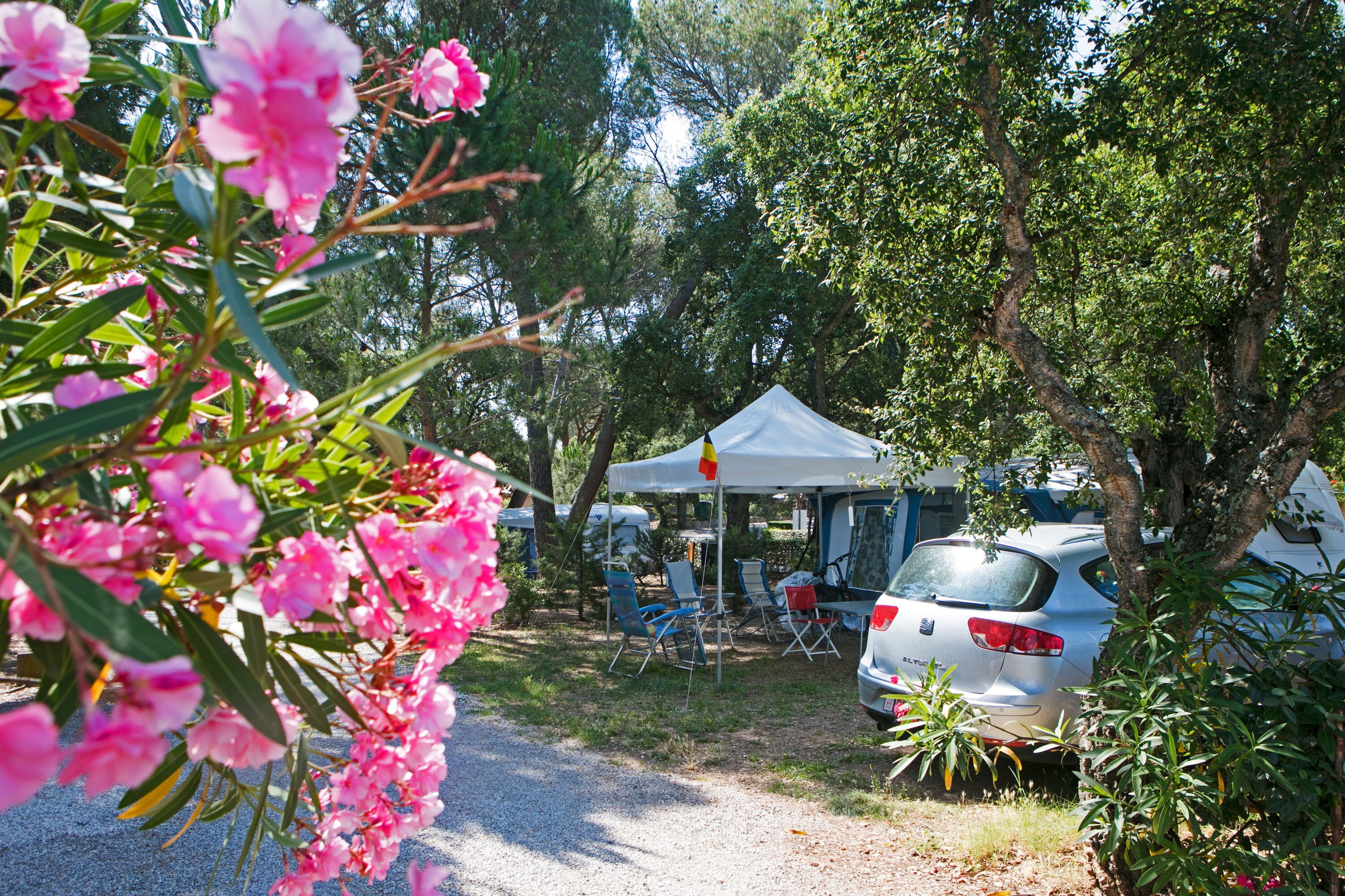 Camping Leï Suves