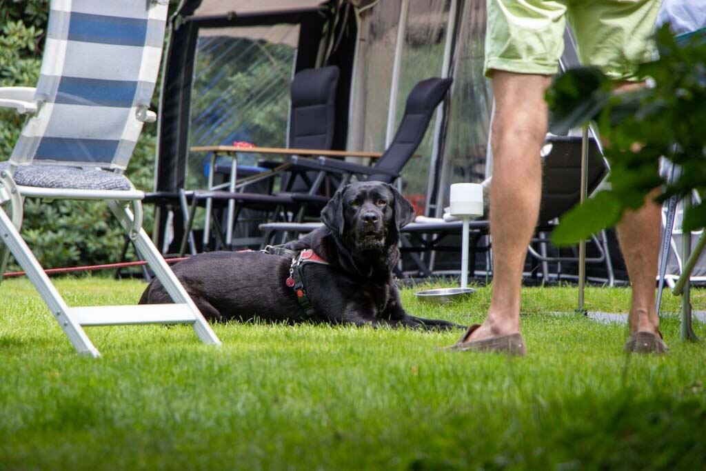 Recreatiepark De Paalberg