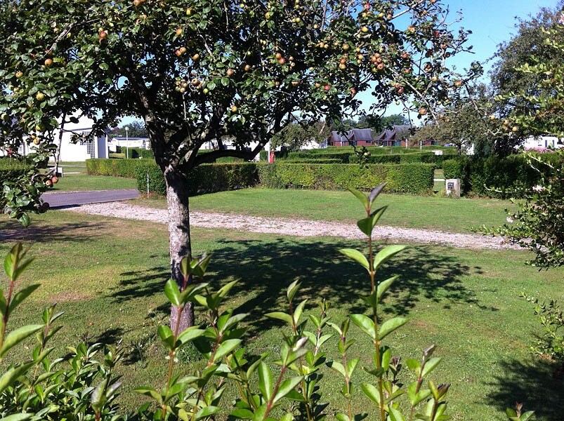 Camping Seasonova Etennemare