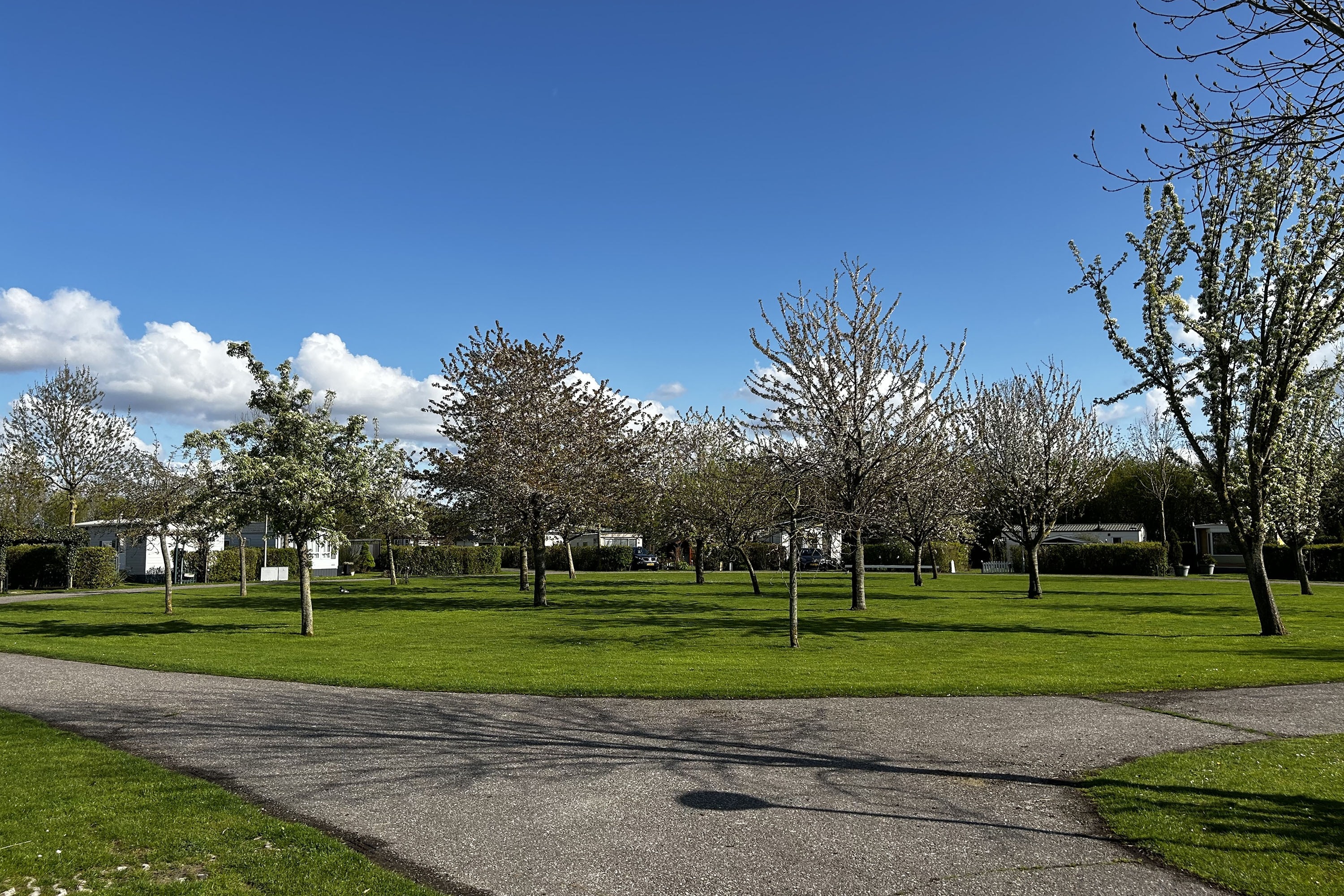 Camping Elizabeth Hoeve