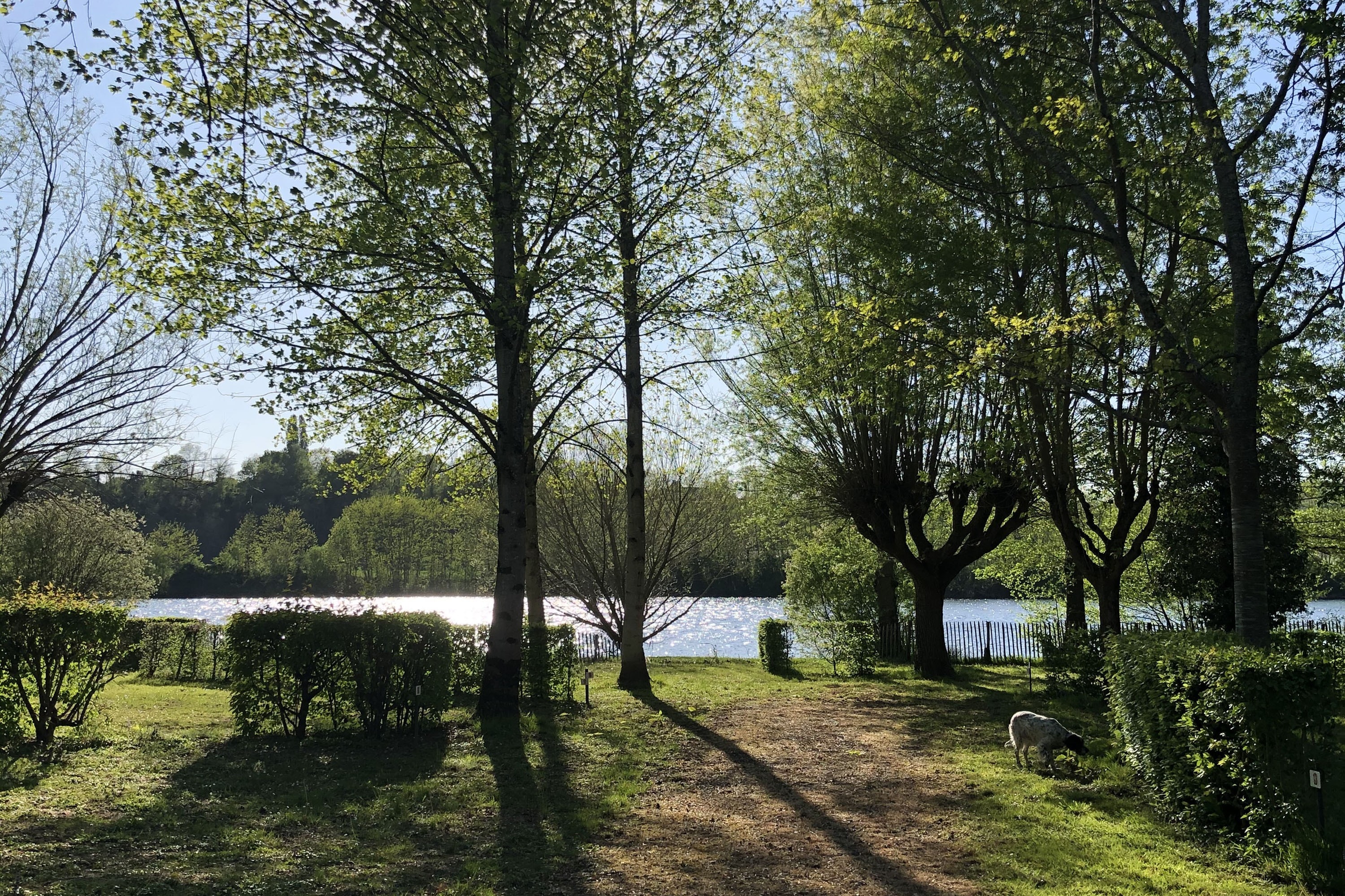 Flower Camping Trémolat Les Berges de la Dordogne