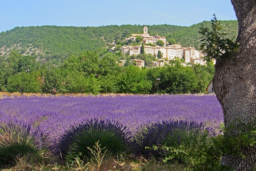 Flower Camping L'Epi Bleu