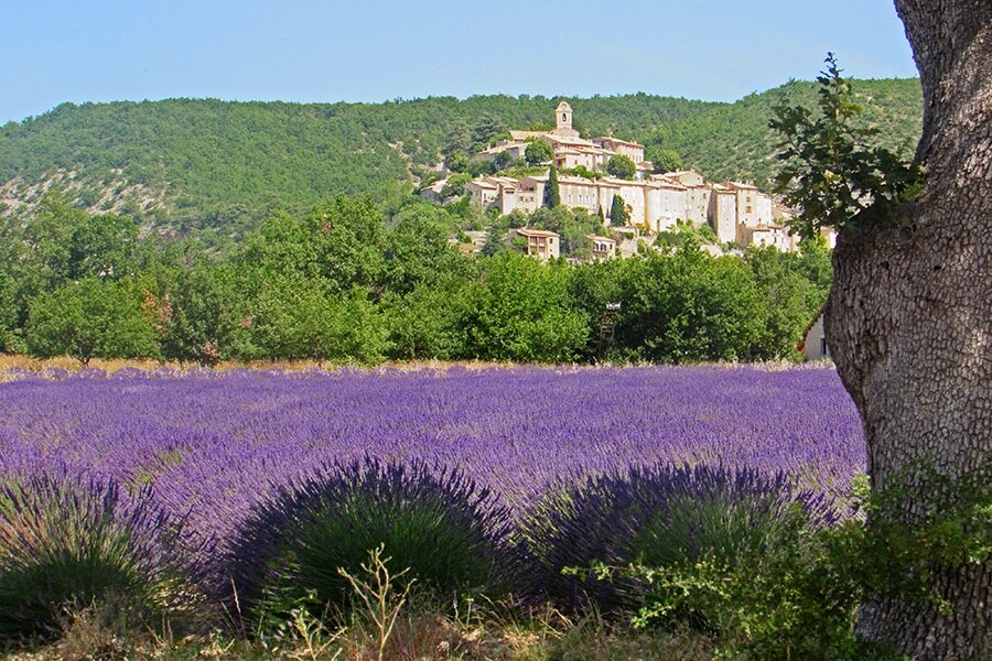 Flower Camping L'Epi Bleu