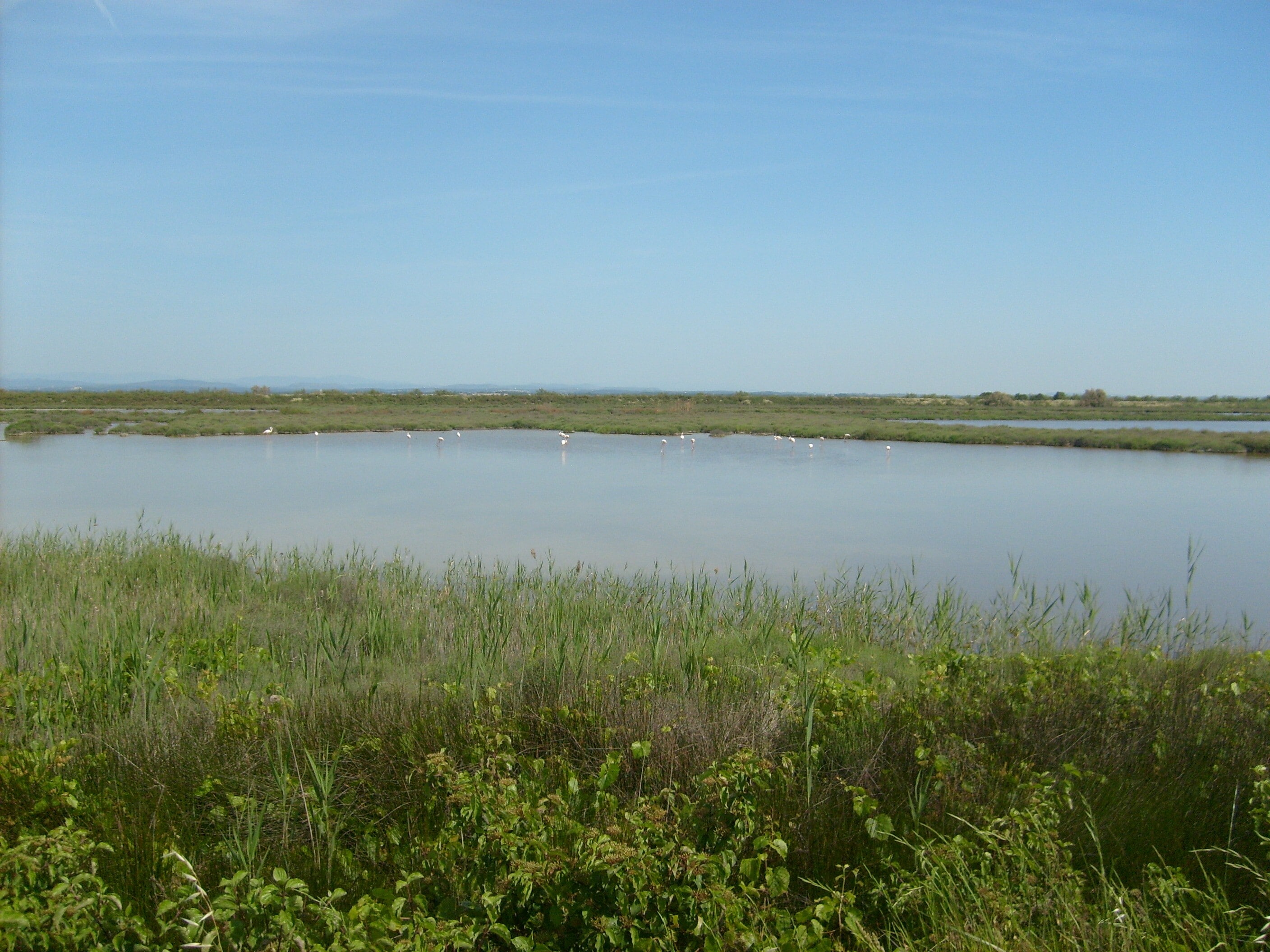 Camping Le Clos du Rhône