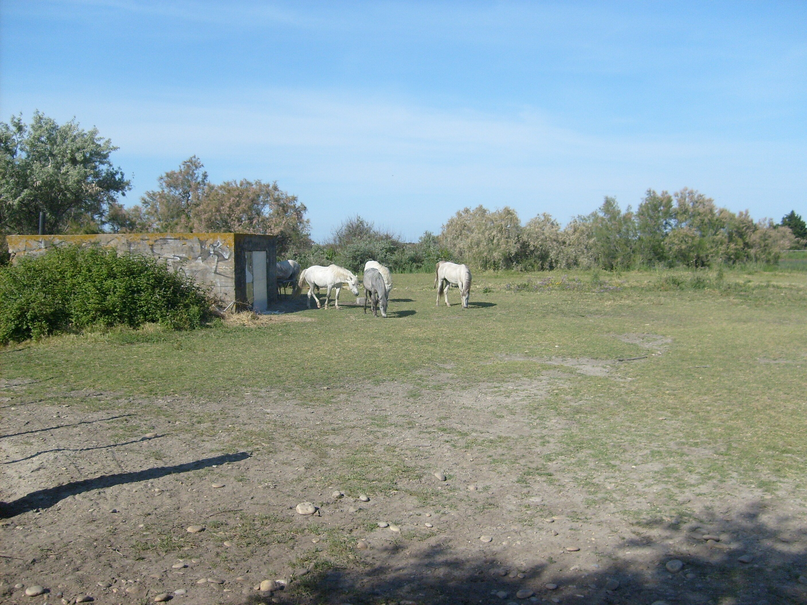 Camping Le Clos du Rhône