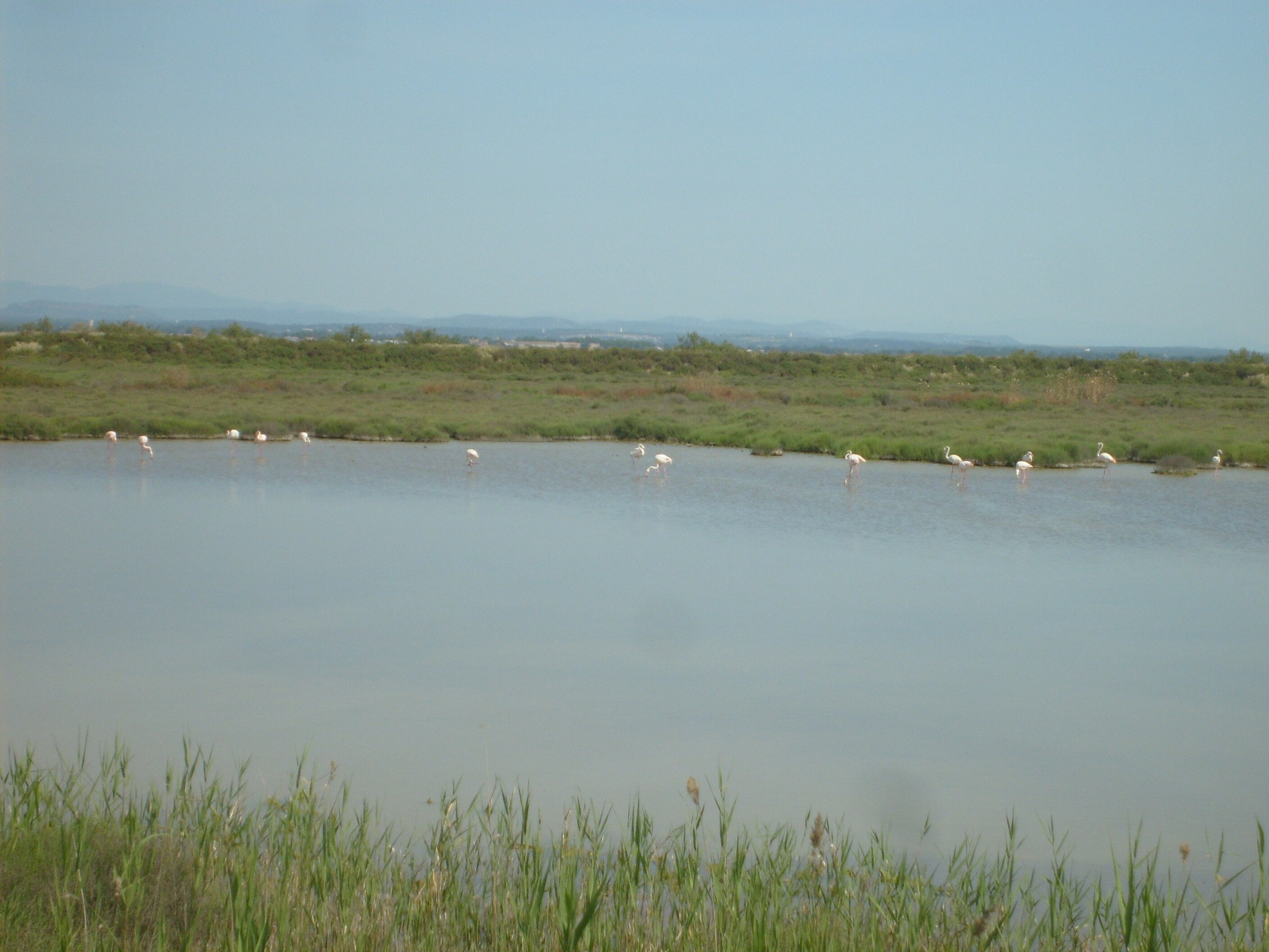 Camping Le Clos du Rhône