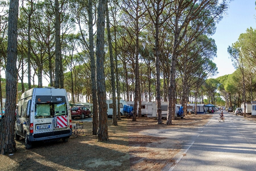 Camping Alannia Neptuno