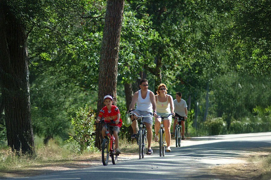 Flower Camping Les Granges