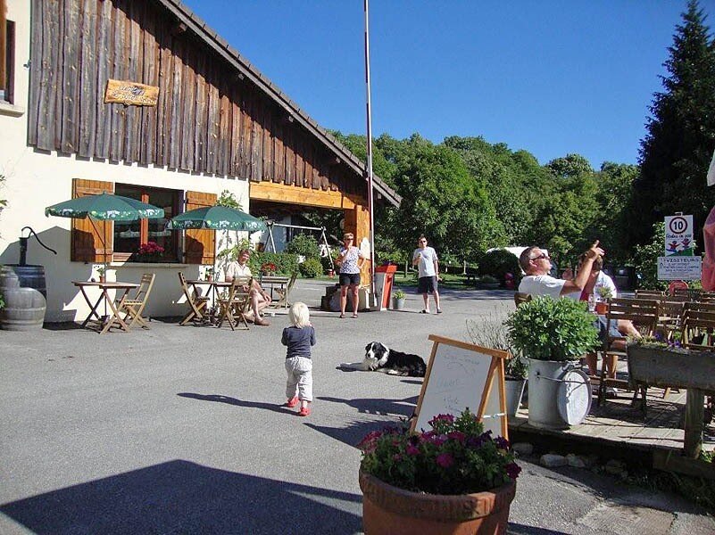 Flower Camping Ser Sirant