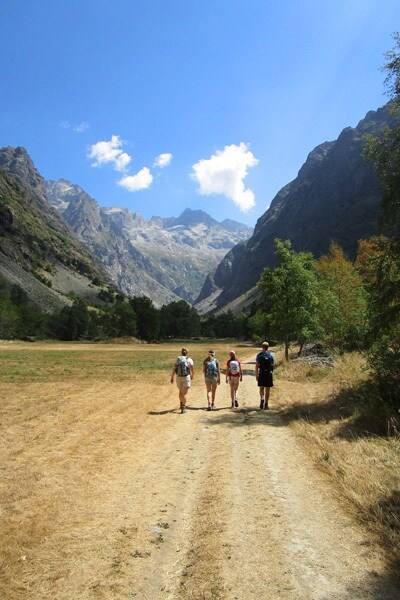 Flower Camping Ser Sirant