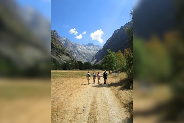 Flower Camping Ser Sirant