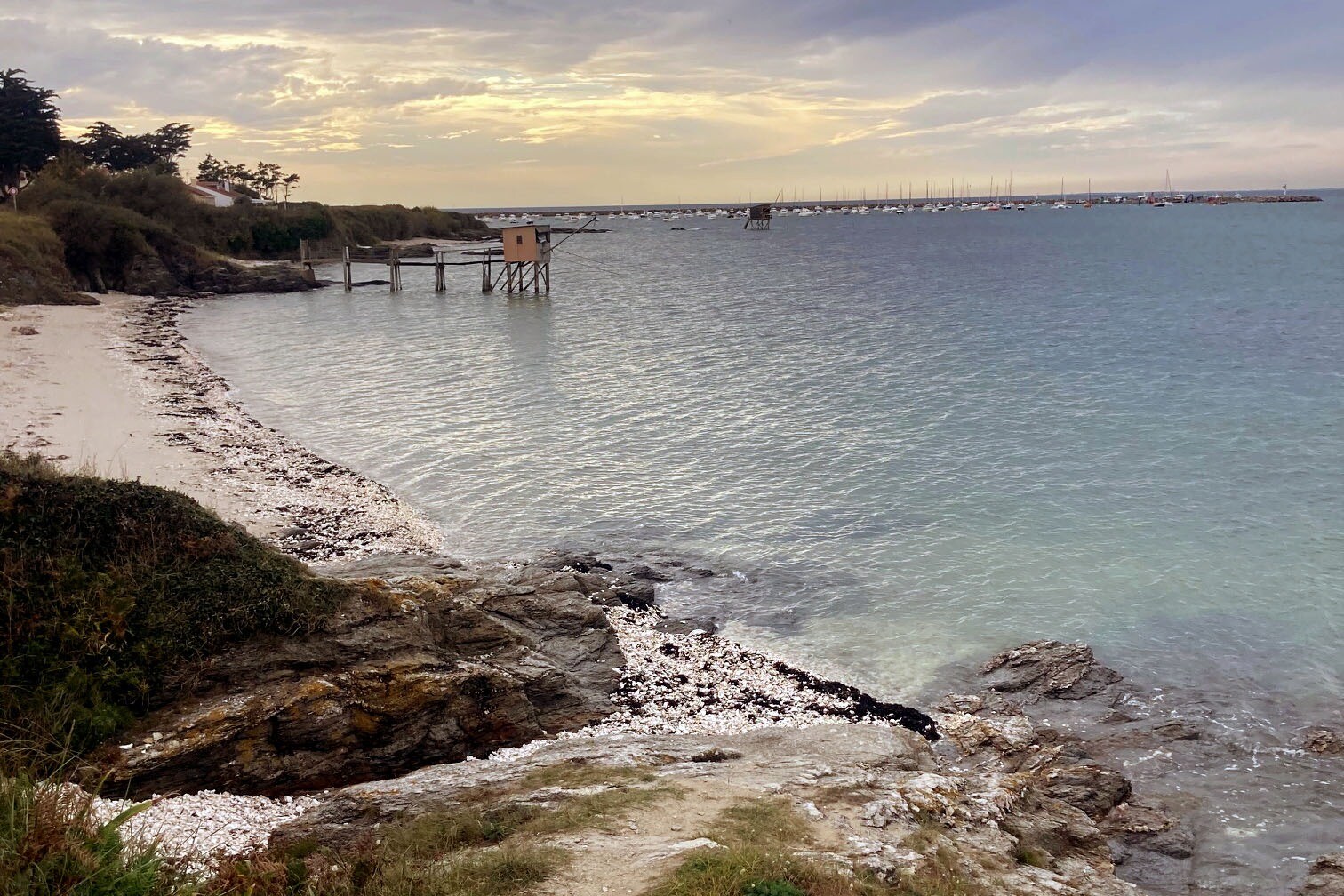 Flower Camping La Guichardière