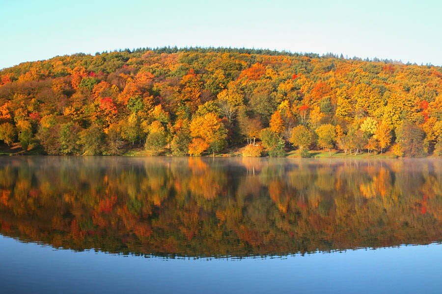 Flower Camping du Lac de Saint-Point Lamartine