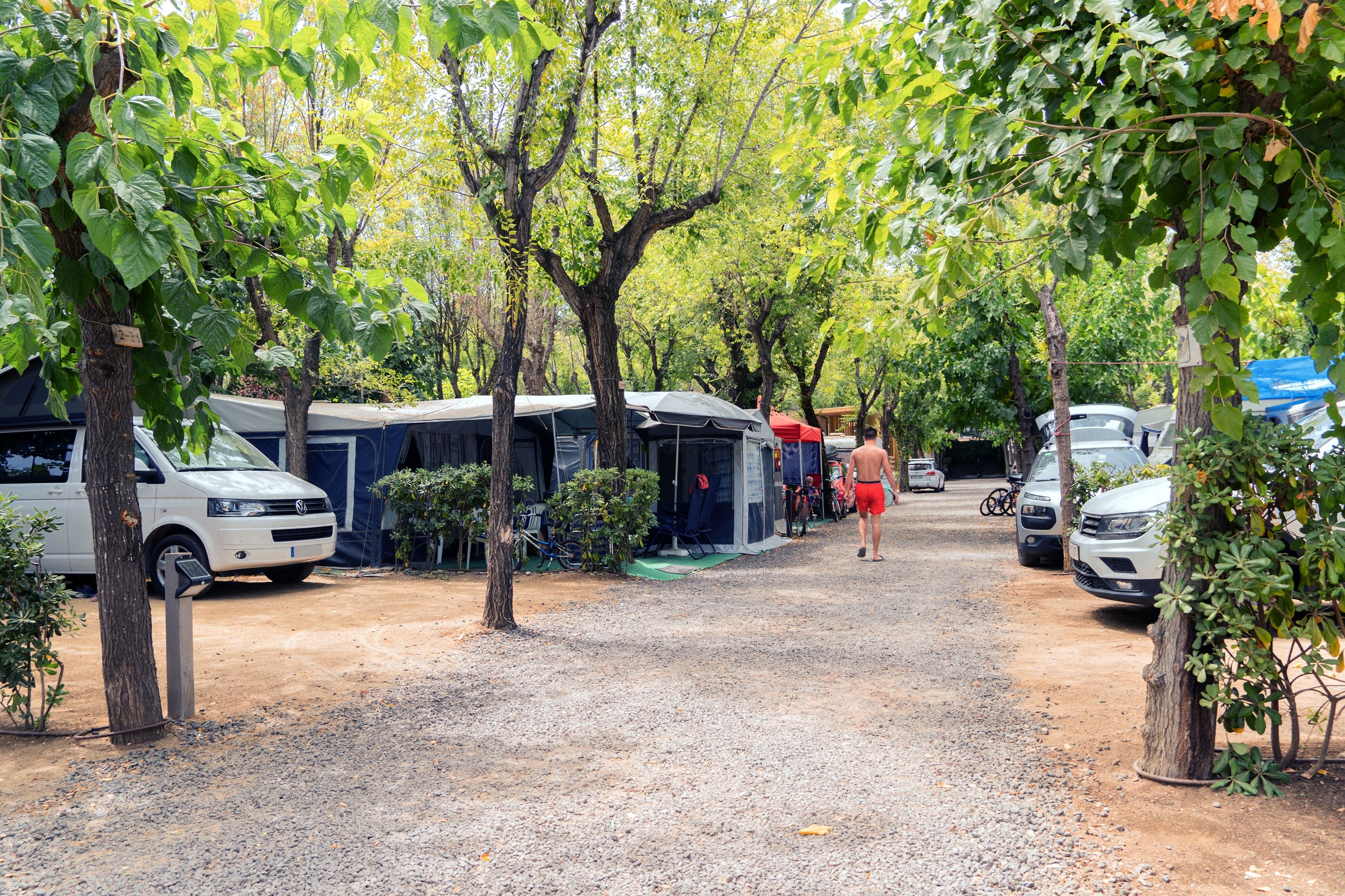 Camping Sènia Caballo de Mar