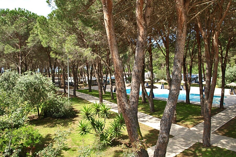 Village Camping Spinnaker