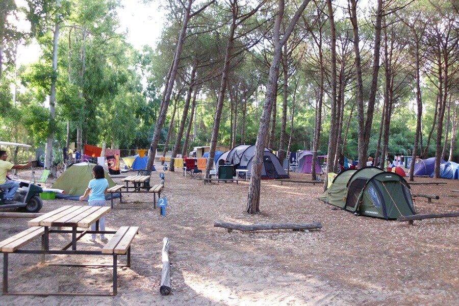 Village Camping Spinnaker