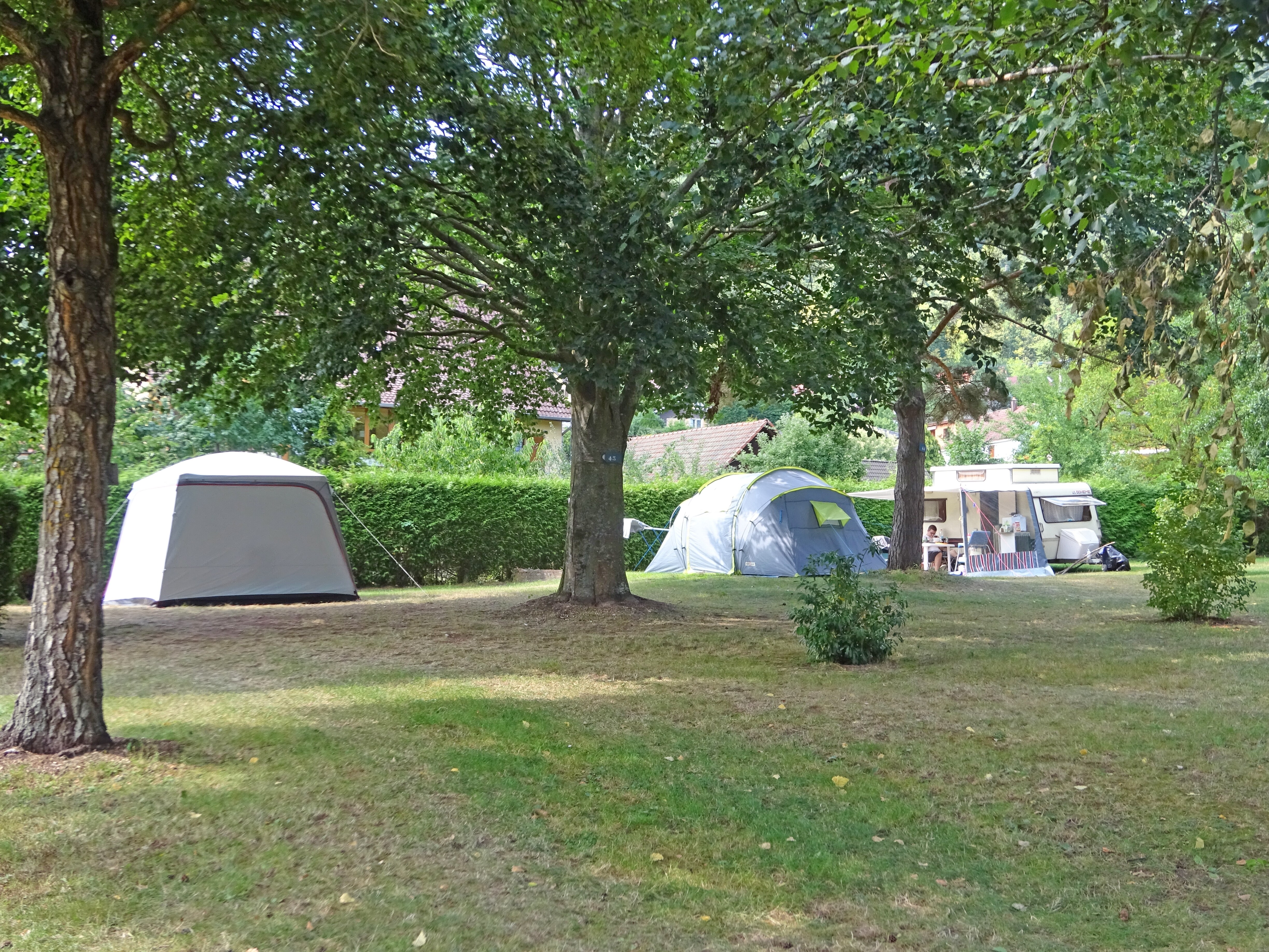 Camping du Haut-Koenigsbourg Onlycamp