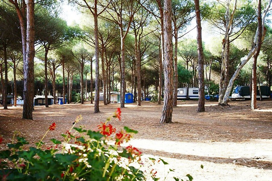 Camping Bella Sardinia