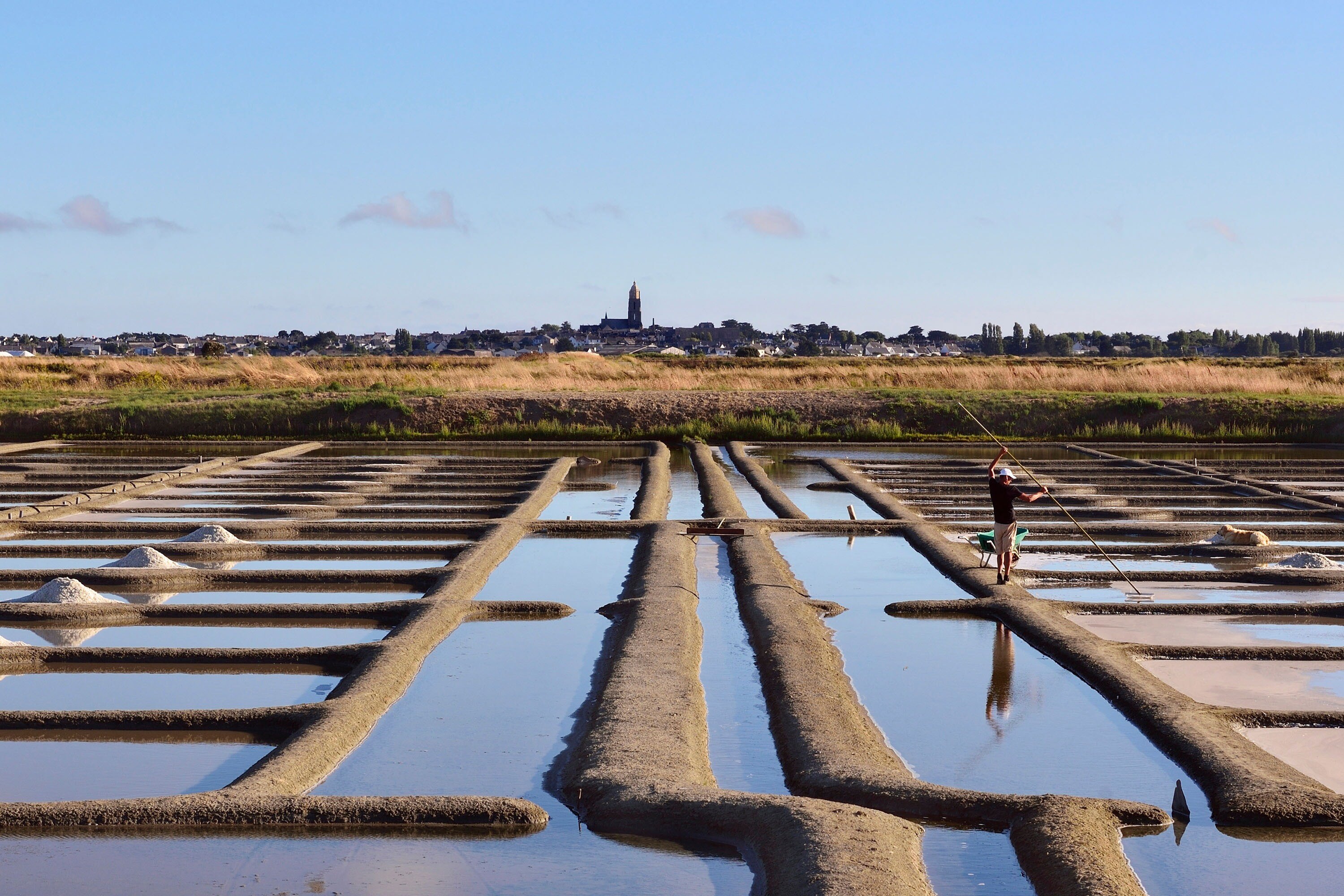 Flower Camping Les Paludiers