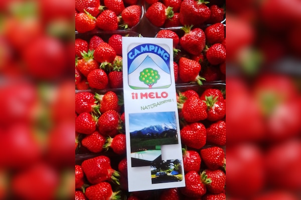 Camping Il Melo