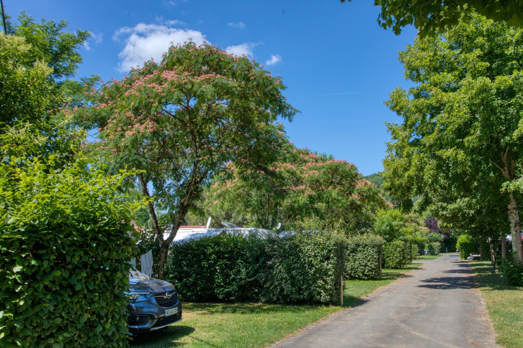 Camping Le Moulin du Bleufond-Lascaux