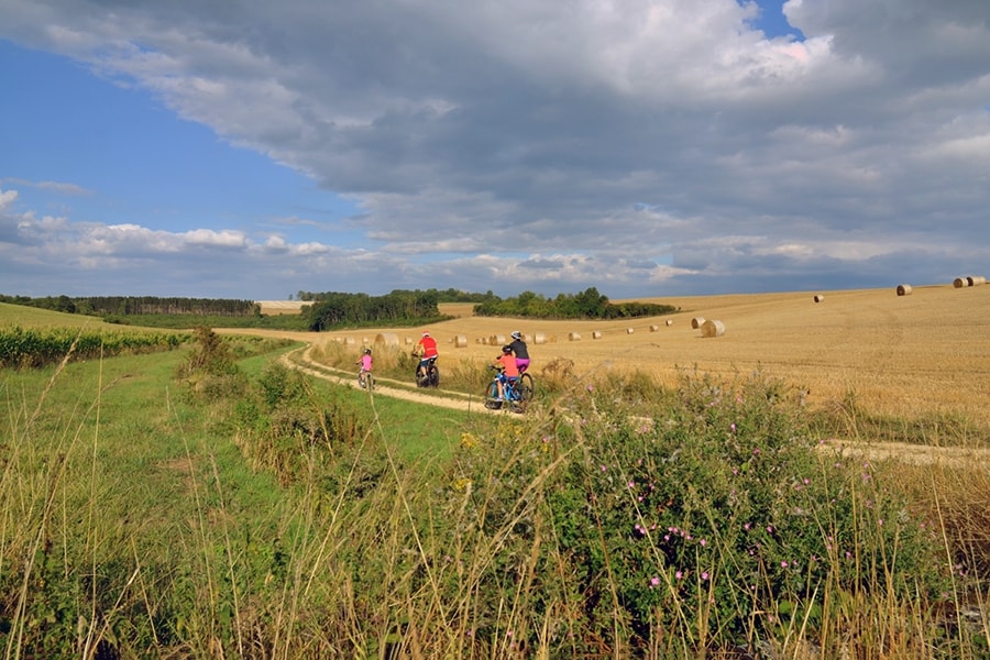 Flower Camping La Samaritaine