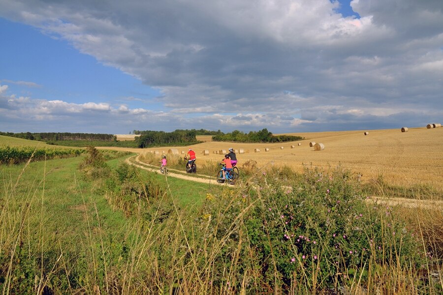 Flower Camping La Samaritaine