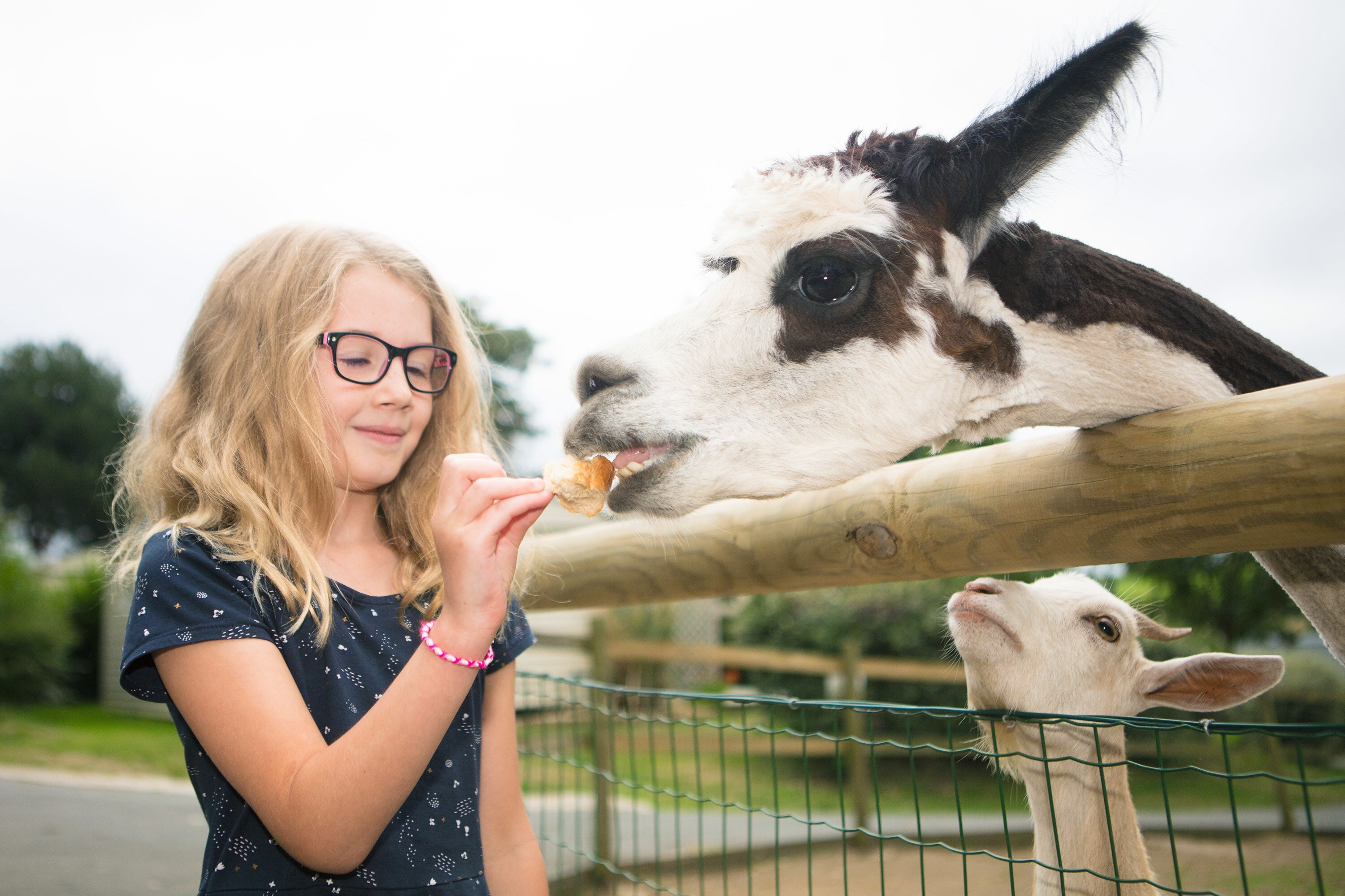 Camping Au Bocage du Lac