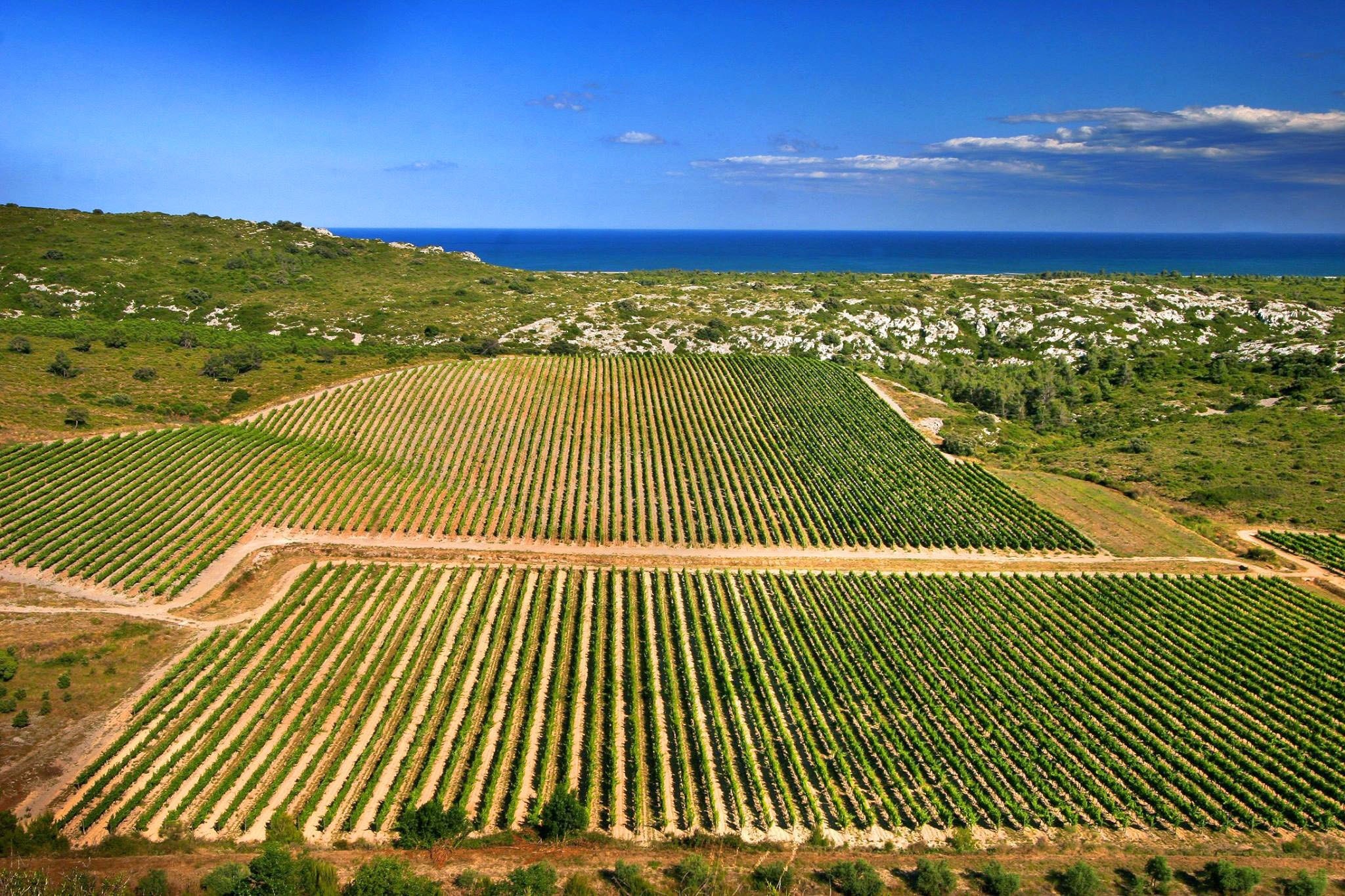 Camping Paradis Soleil d’Oc