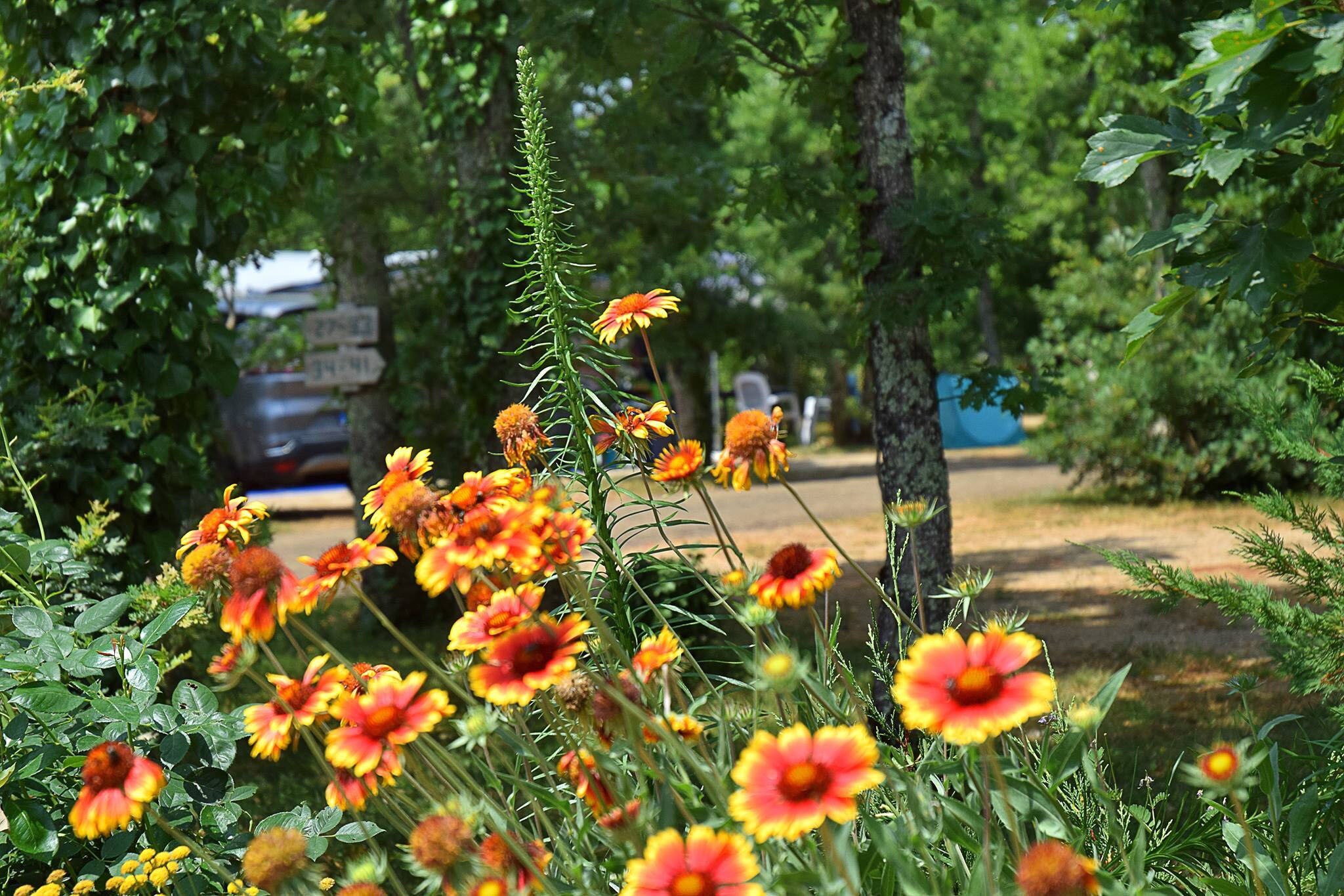 Camping Les 3 Cantons