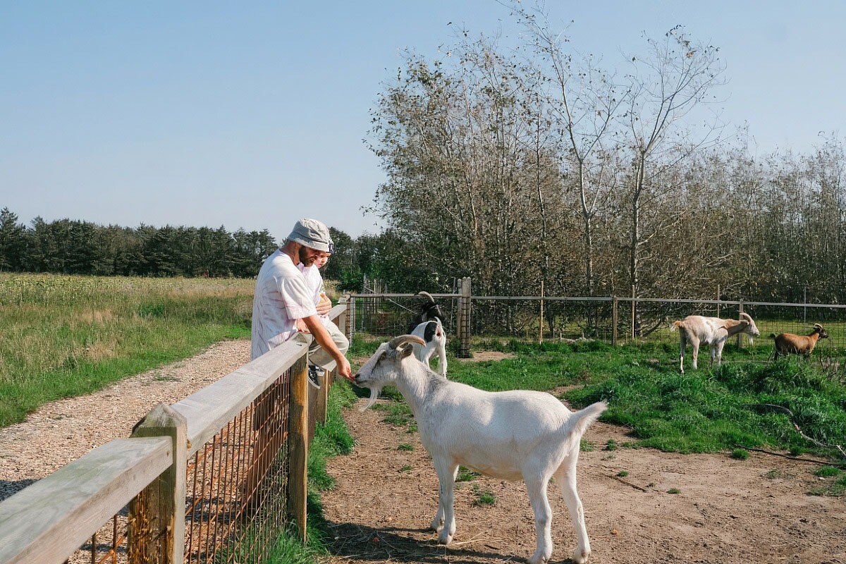 Løkken Klit Camping