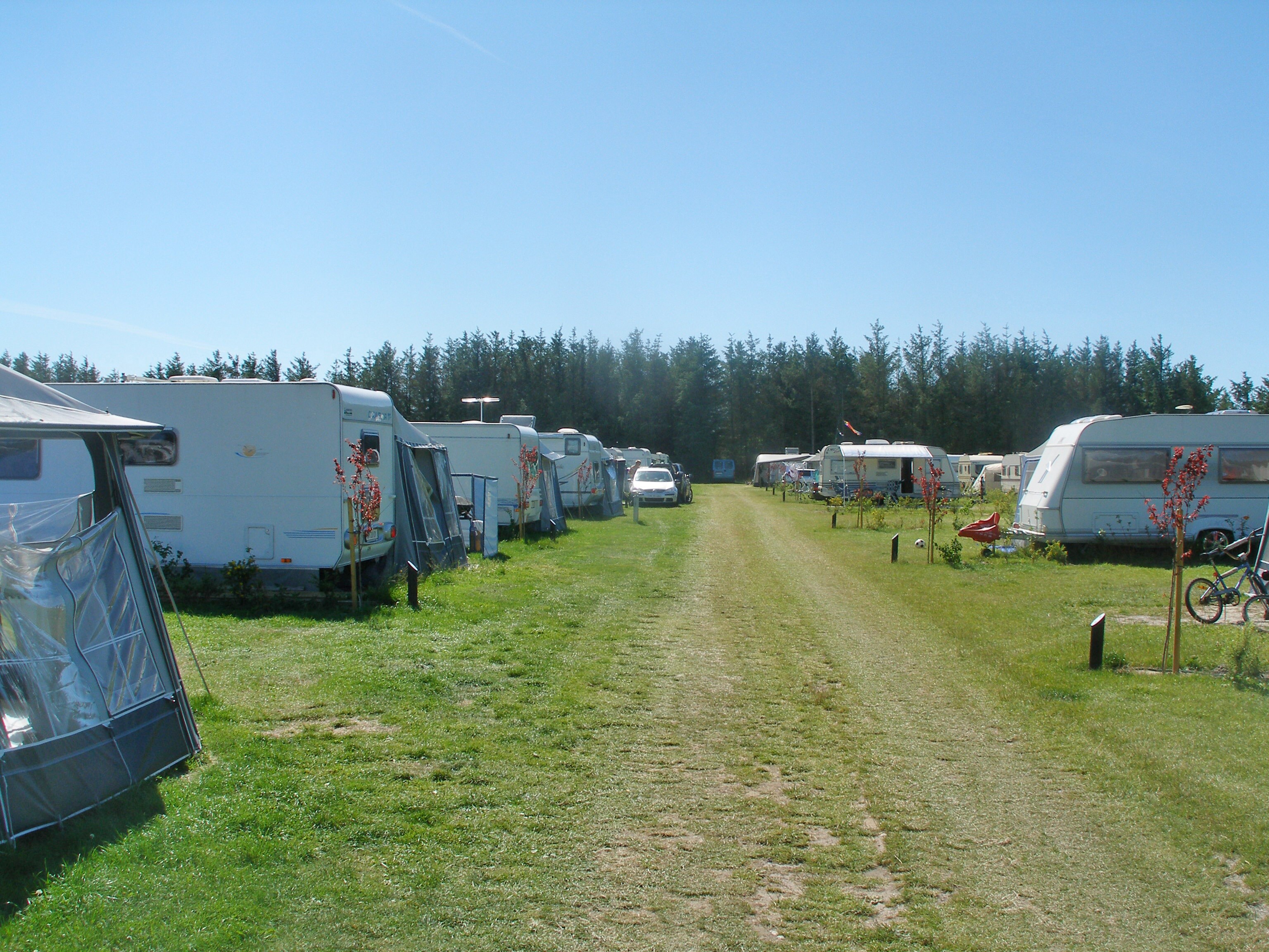 Løkken Klit Camping