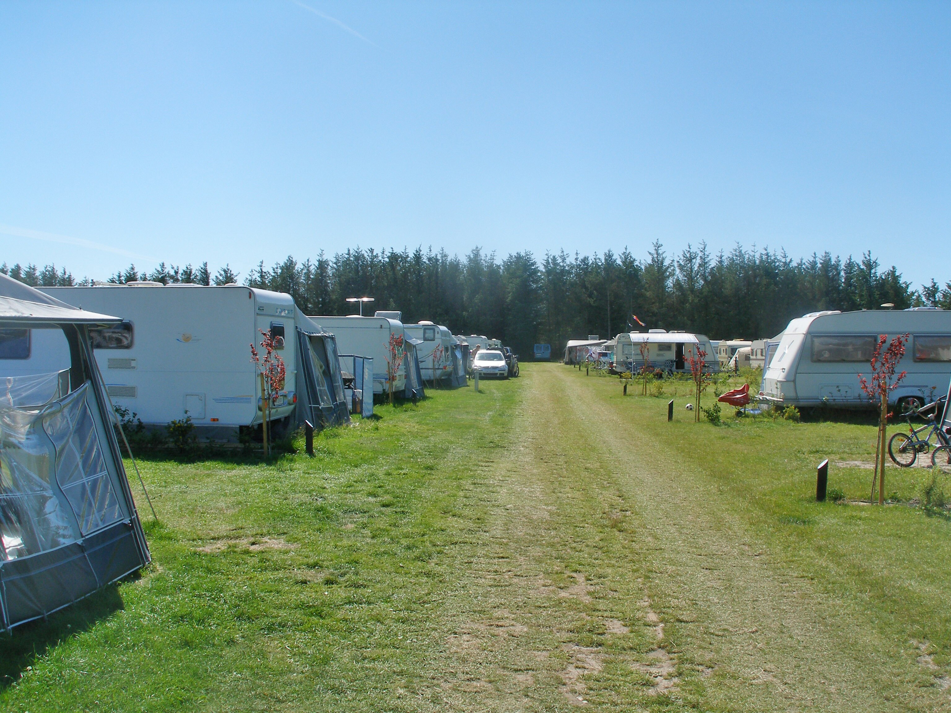 Løkken Klit Camping