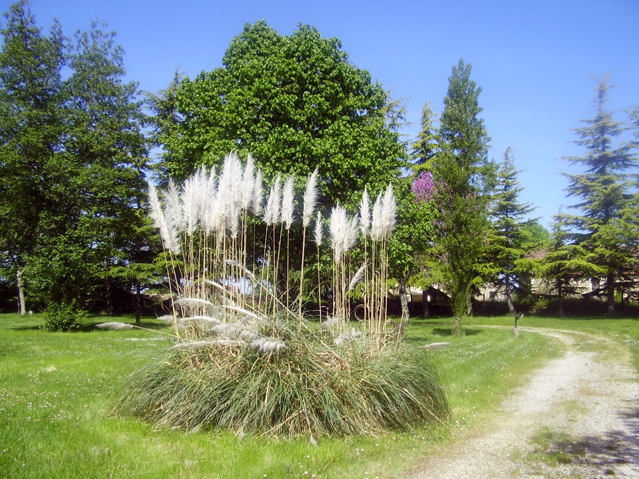 Camping Quercy Vacances