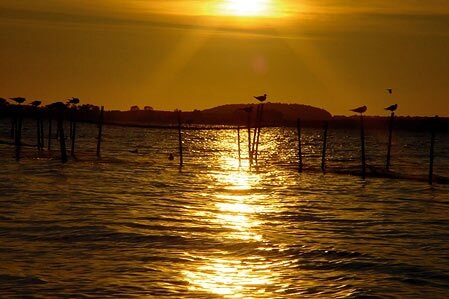 Natur Camping Usedom