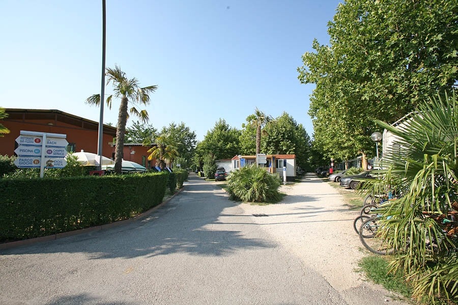 Camping Village Butterfly