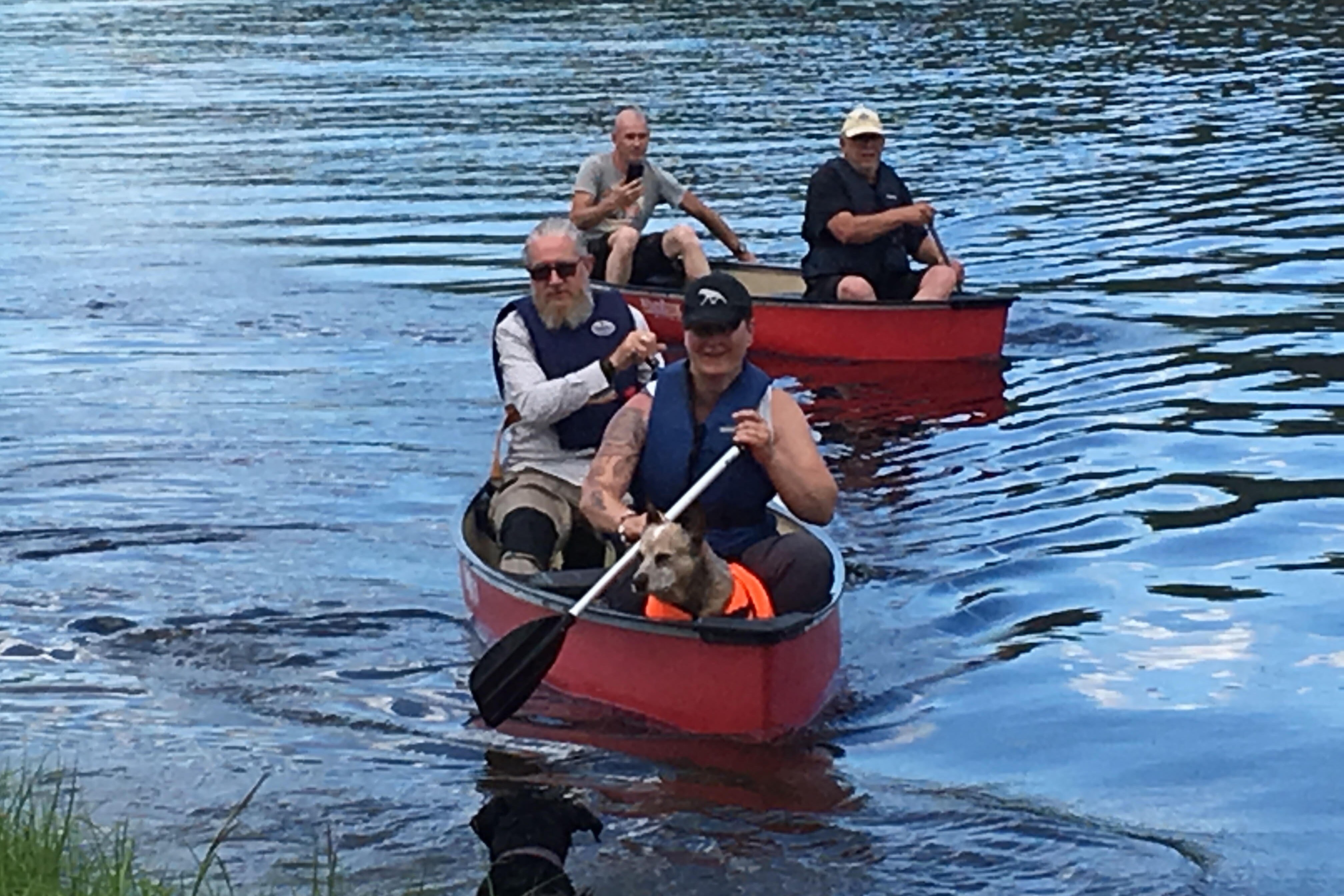 Hammarstrands Camping