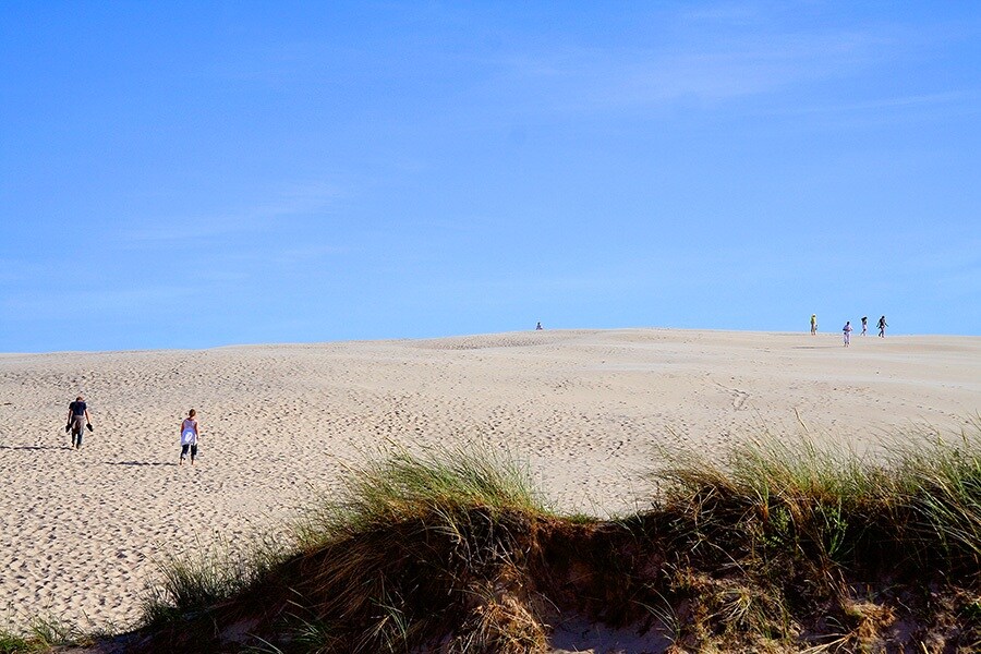 First Camp Råbjerg Mile - Skagen