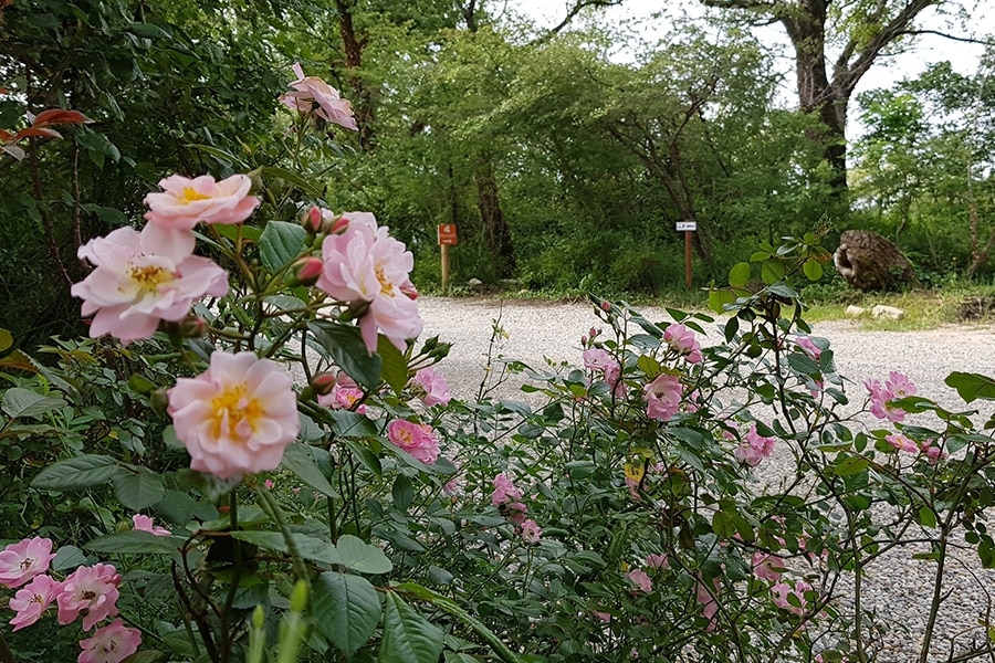 Flower Camping Les Rives de l'Aygues