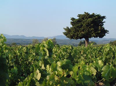 Flower Camping Les Rives de l'Aygues