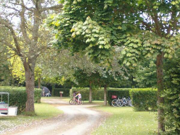 Flower Camping Du Port Caroline