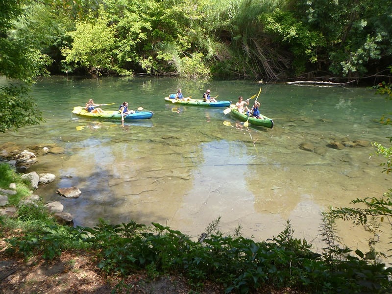 Camping La Grenouille