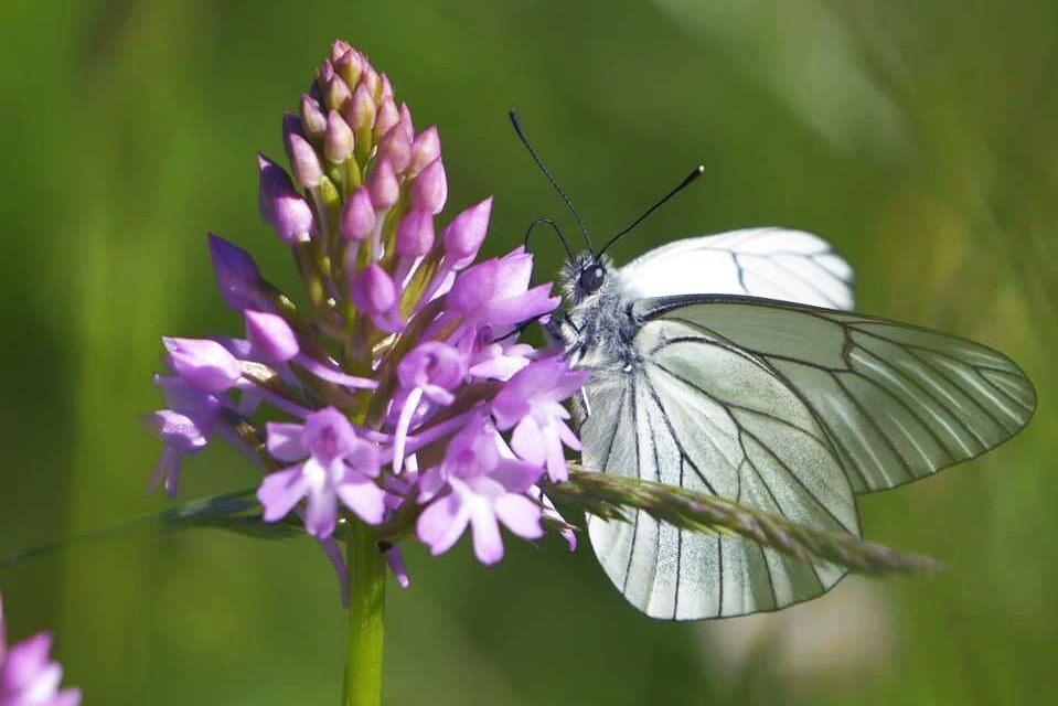 Camping Ruisseau du Treil