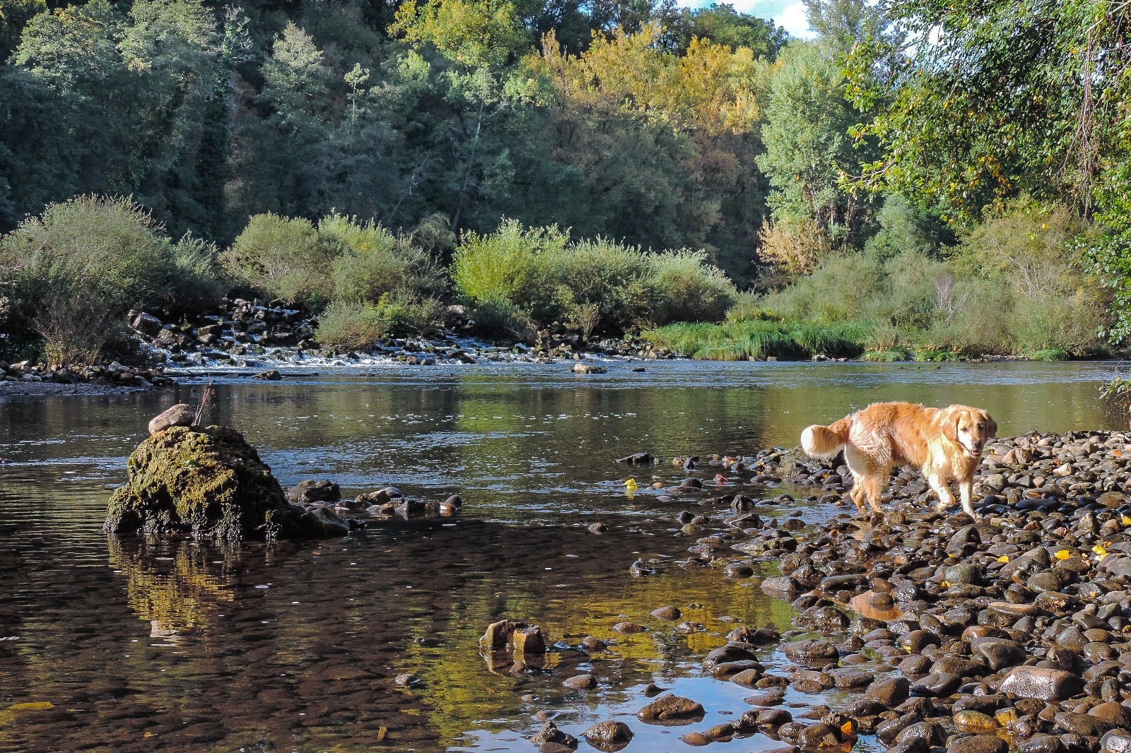 Camping Ruisseau du Treil