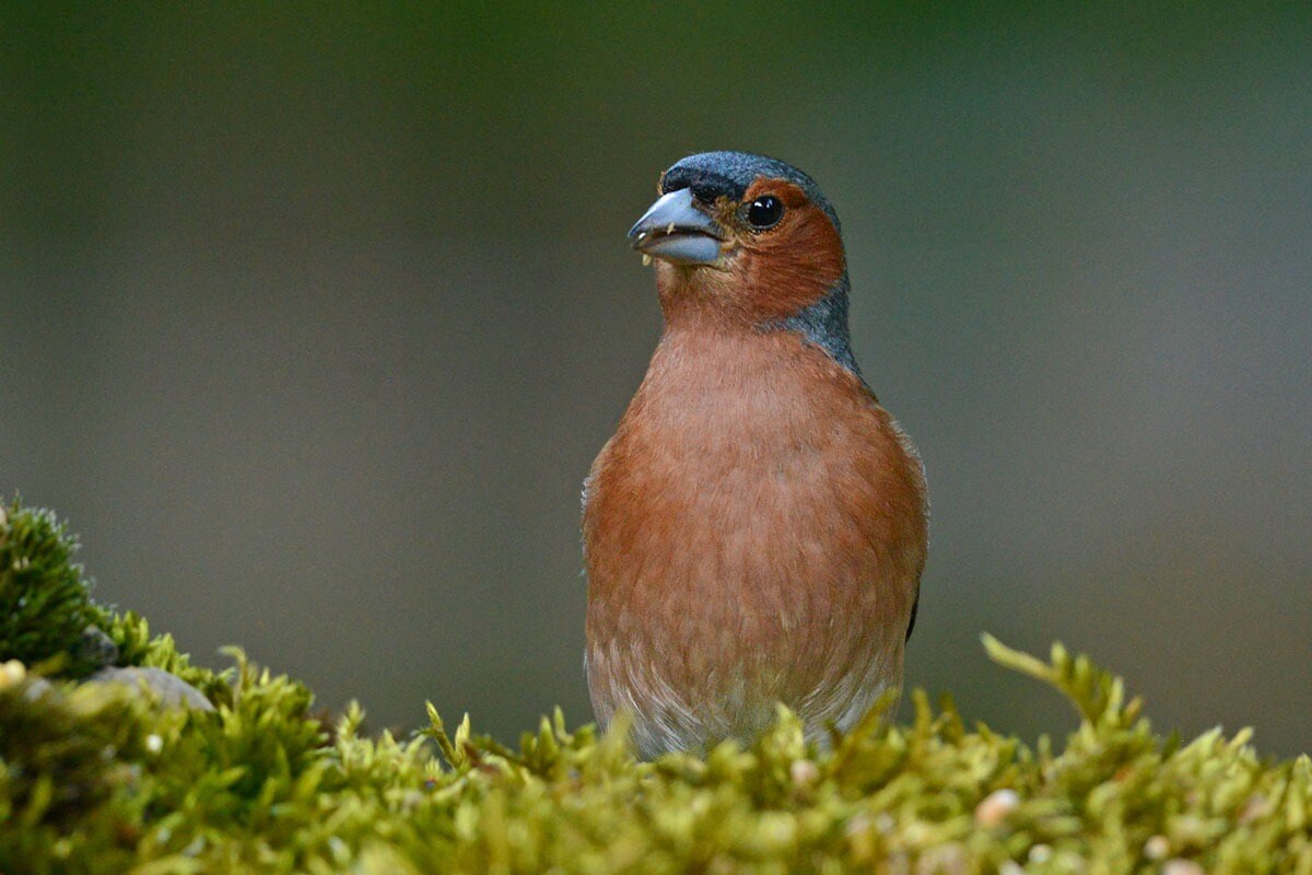 Camping Ruisseau du Treil