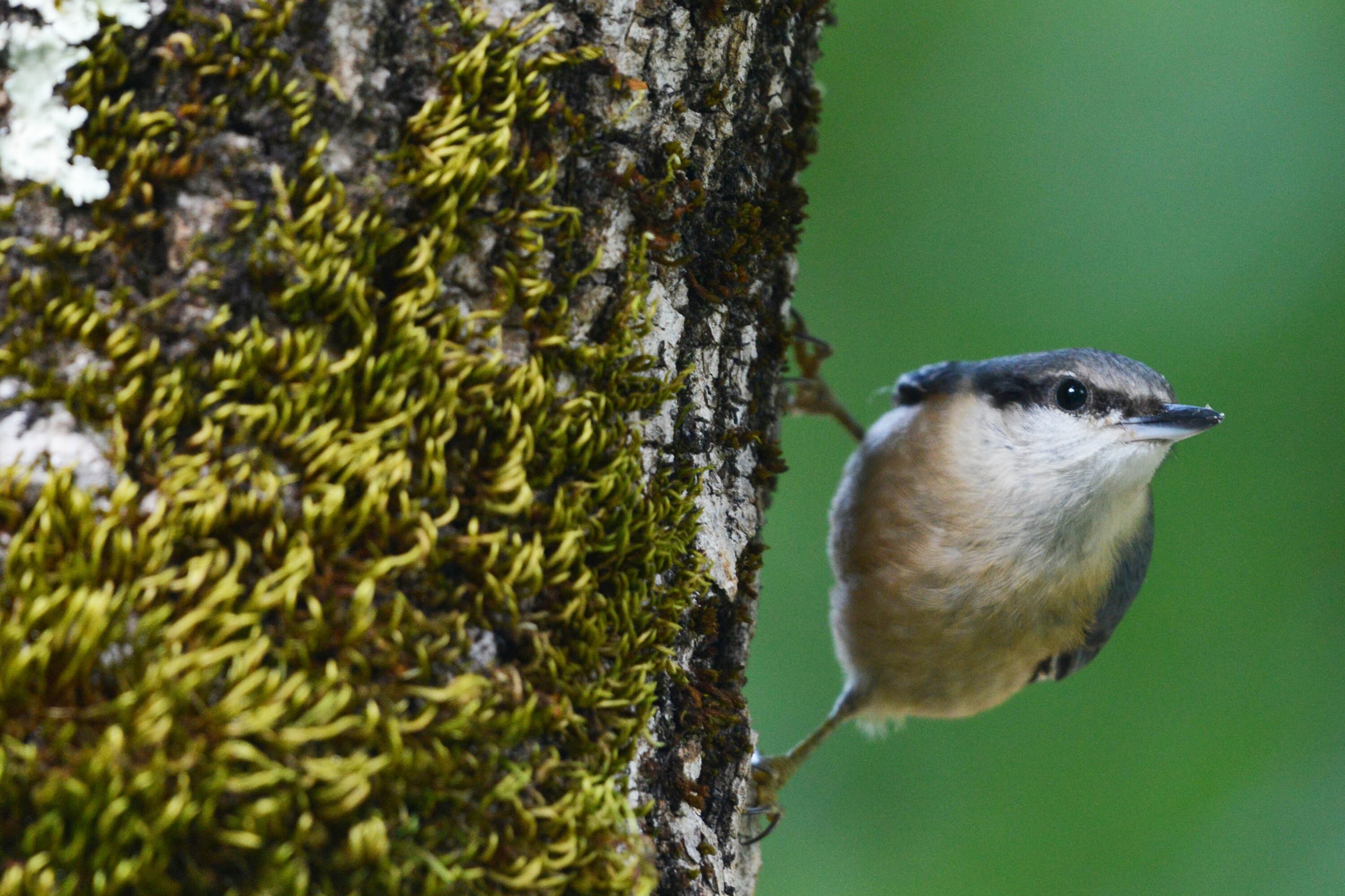 Camping Ruisseau du Treil