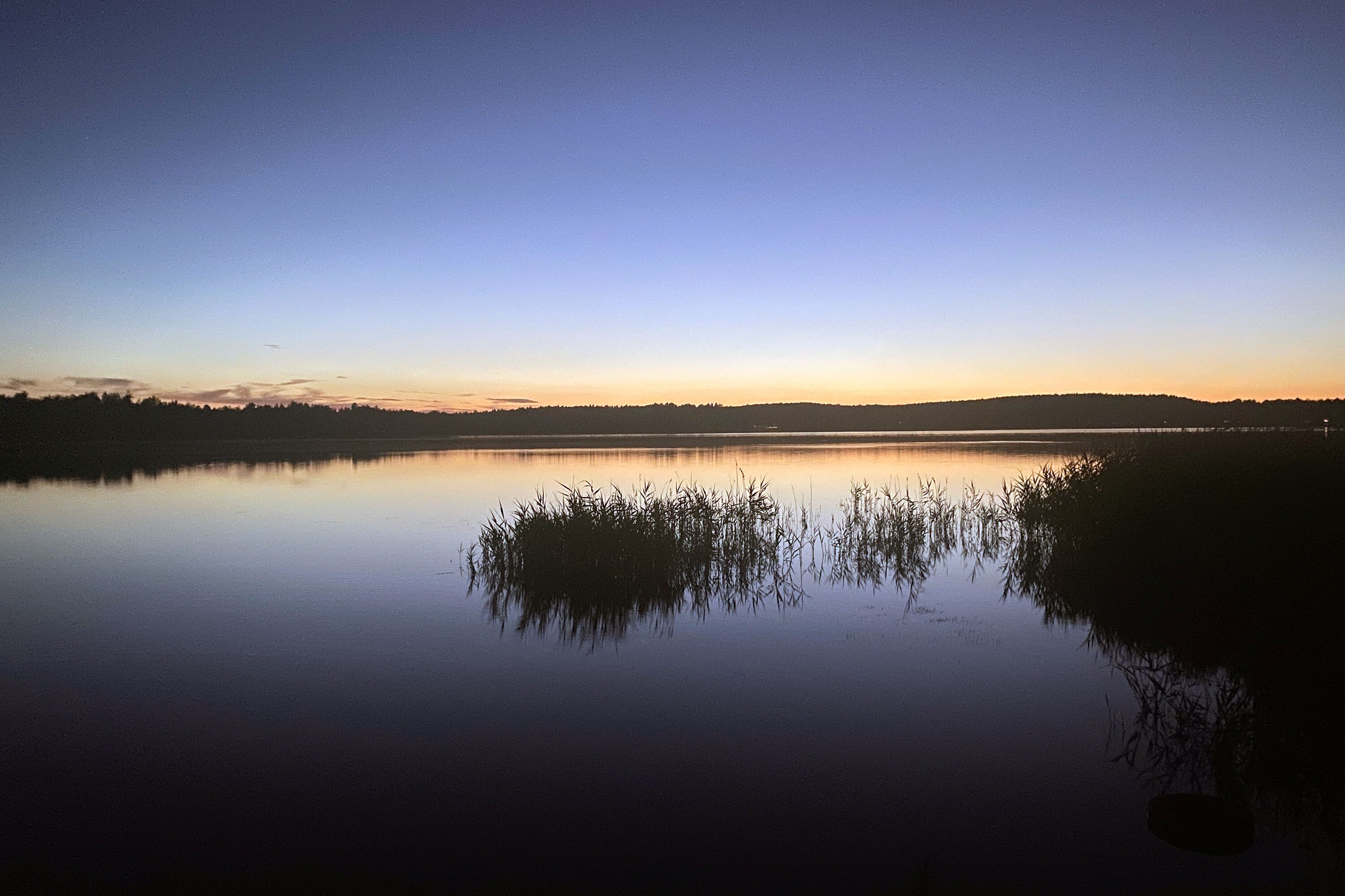 Themencamping Grünewalder Lauch
